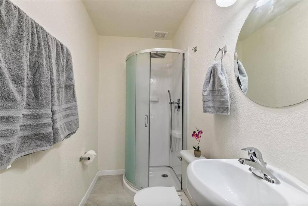 Lucky House - Tranquility In The Middle Of Houston - Tv In Every Room - 300 M2 المظهر الخارجي الصورة
